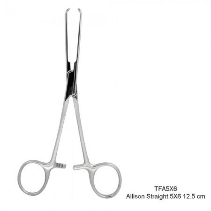 5X6 Straight Tissue Forceps (12.5cm)